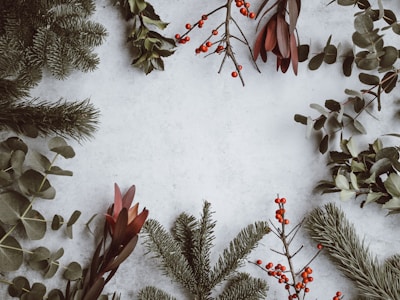 Christmas